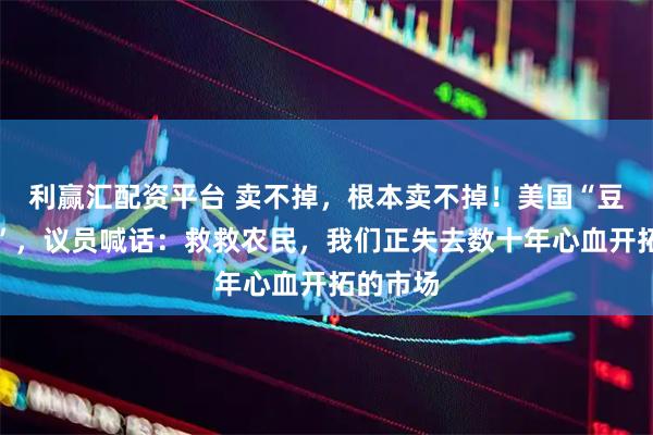 利赢汇配资平台 卖不掉，根本卖不掉！美国“豆贱伤农”，议员喊话：救救农民，我们正失去数十年心血开拓的市场