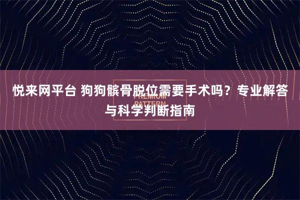 悦来网平台 狗狗髌骨脱位需要手术吗？专业解答与科学判断指南
